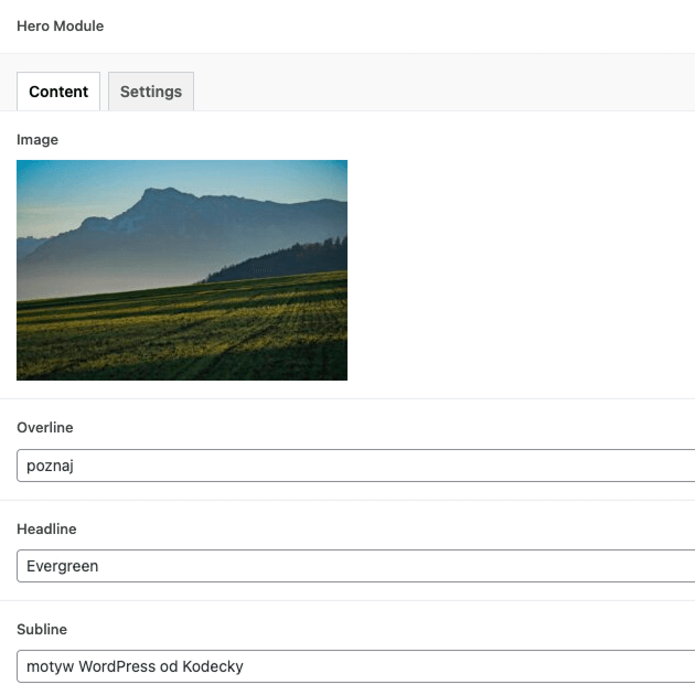 obraz ekranu edycji zakładki Content w bloku ACF